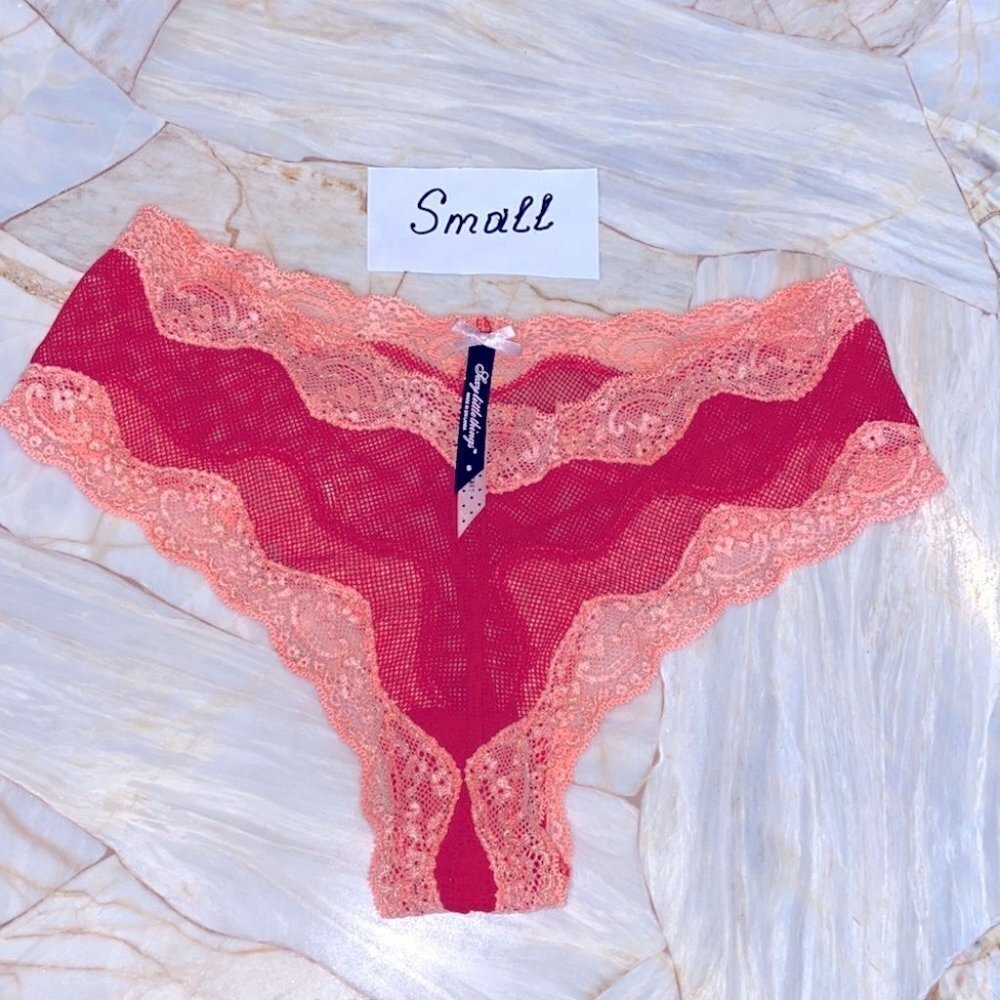Rare Sexy Little Cheeky Bikini Panty Mesh Lace Trim Limited Edition SLT